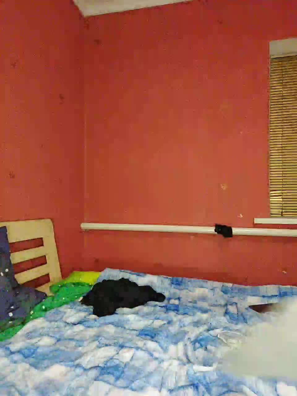 View or download file normanmash on 2023-11-25 from bongacams