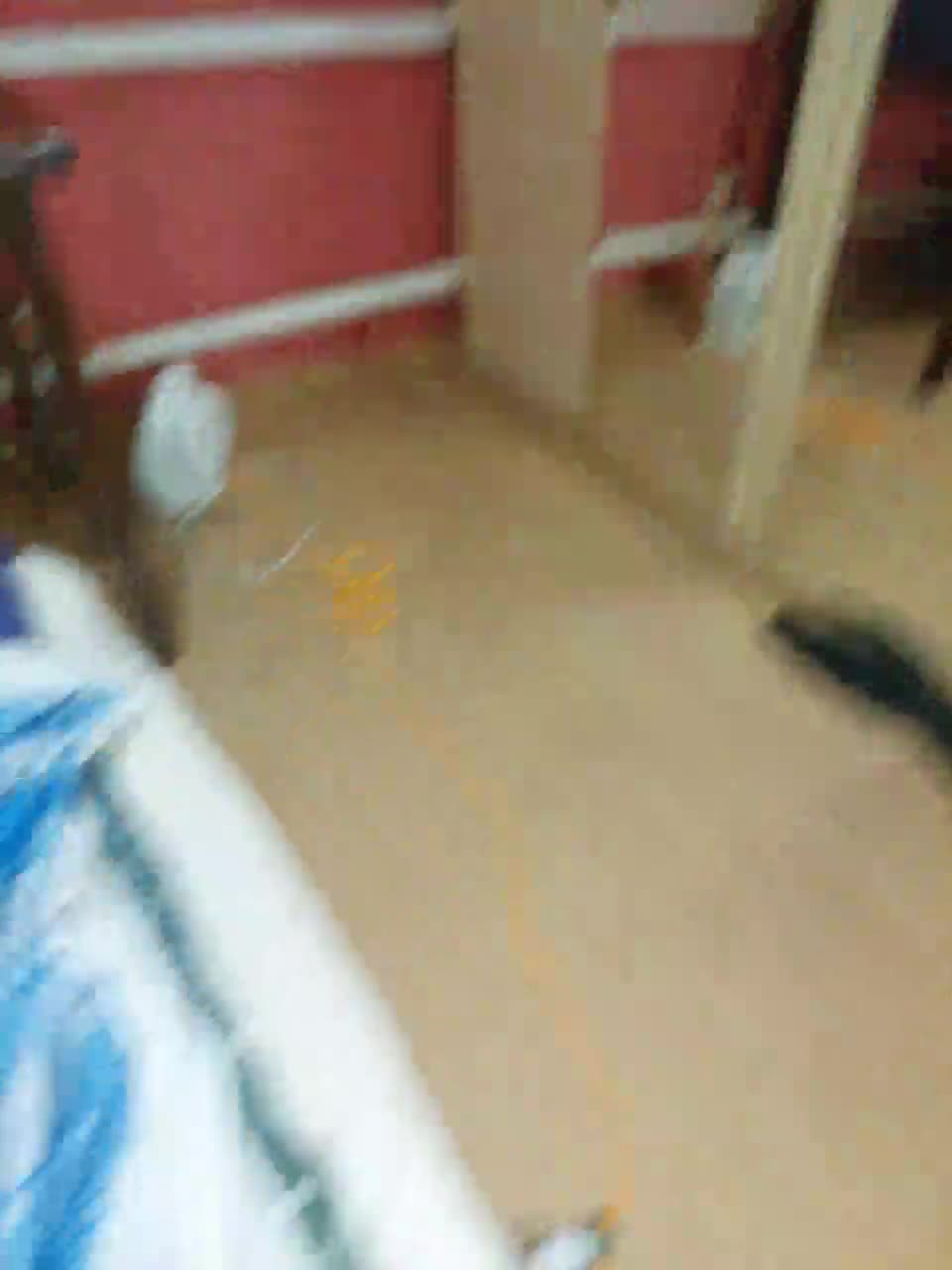 View or download file normanmash on 2023-11-26 from bongacams