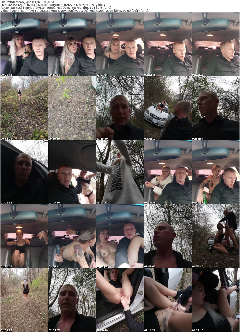 Preview thumb from tandemdan on 2023-11-26 @ bongacams