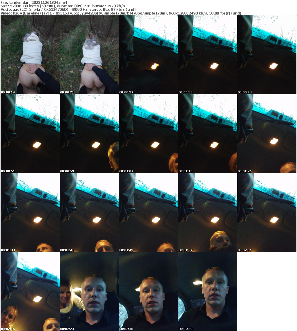 Preview thumb from tandemdan on 2023-11-26 @ bongacams