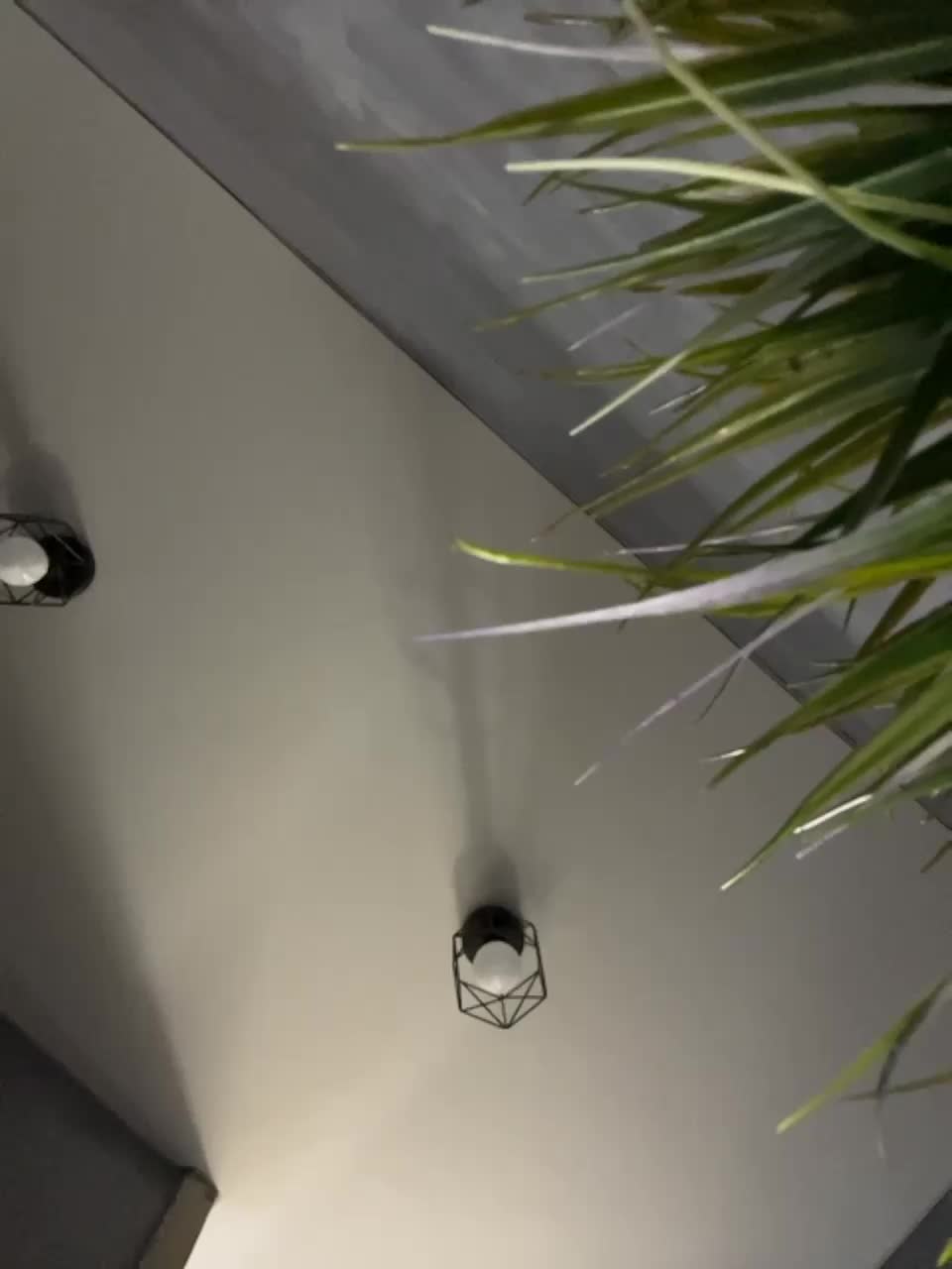 View or download file vero19nika on 2023-11-27 from bongacams