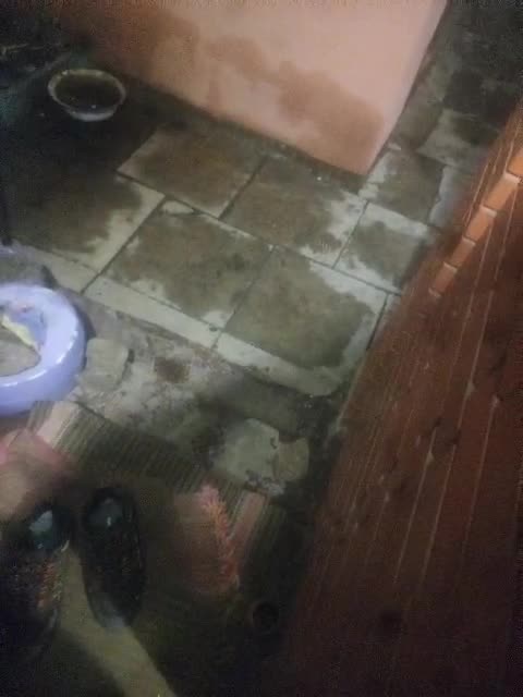 View or download file masya1996 on 2023-11-29 from bongacams