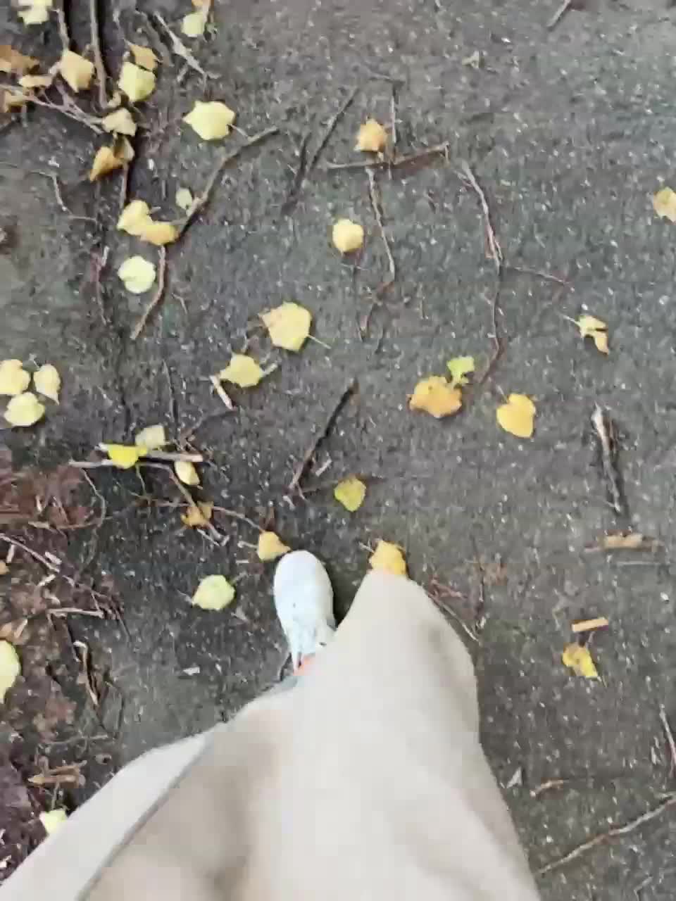 View or download file divora on 2023-12-01 from bongacams