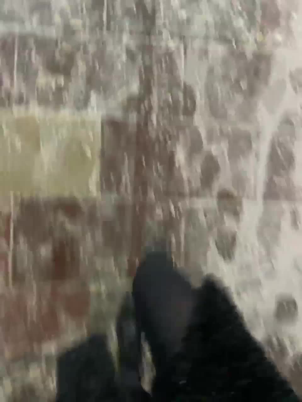 View or download file kirlove1 on 2023-12-01 from bongacams