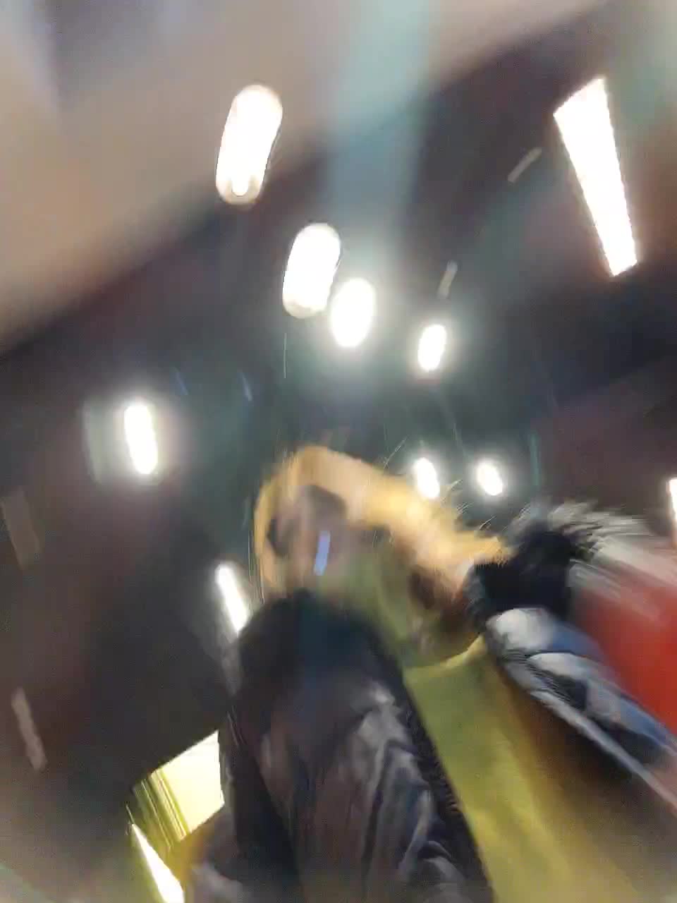 View or download file kitsune_alice on 2023-12-04 from bongacams