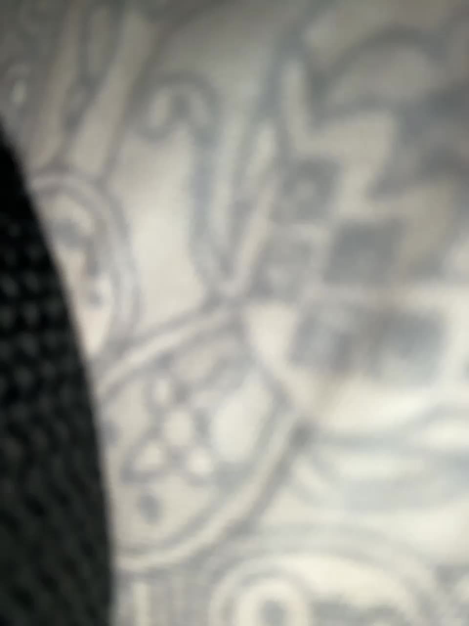 View or download file angelll3 on 2023-12-08 from bongacams