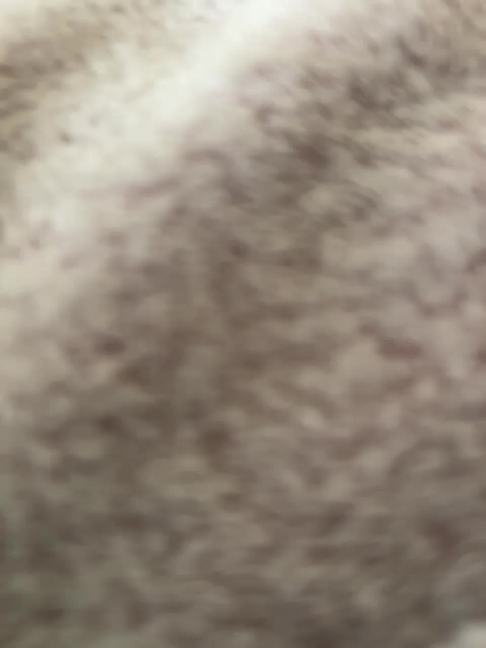 View or download file honeycouple on 2023-12-09 from bongacams