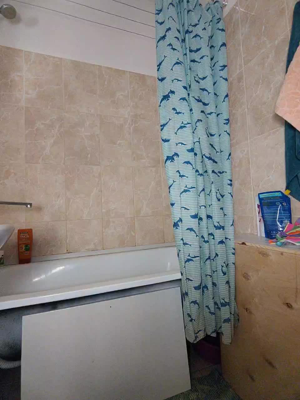 View or download file kitsune_alice on 2023-12-09 from bongacams