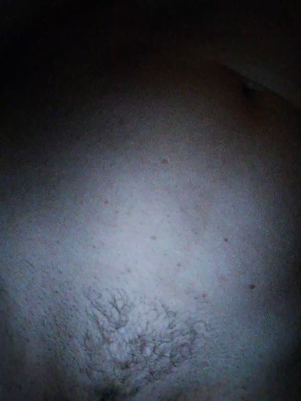 View or download file lana503 on 2023-12-10 from bongacams