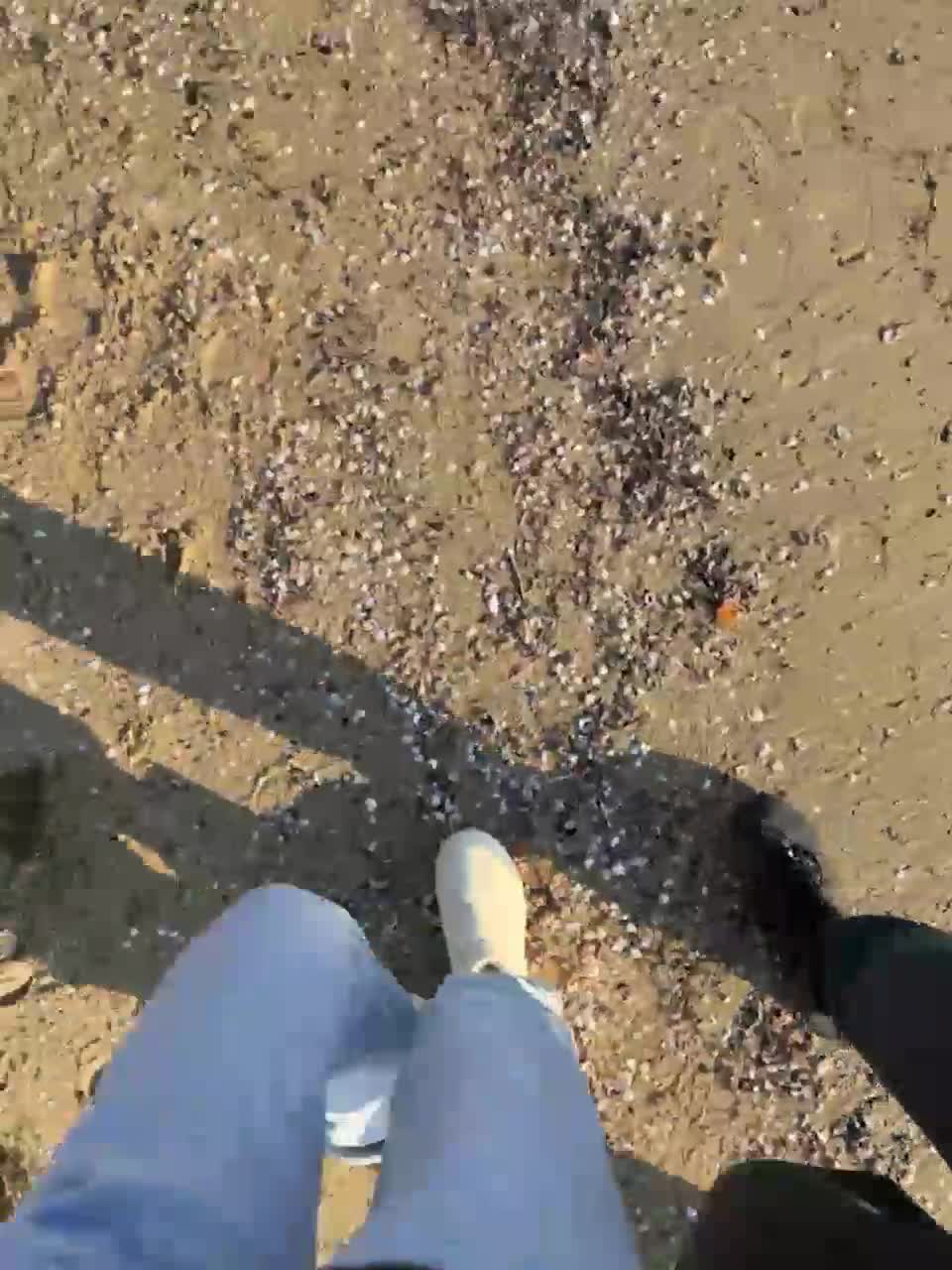 View or download file honeycouple on 2023-12-11 from bongacams