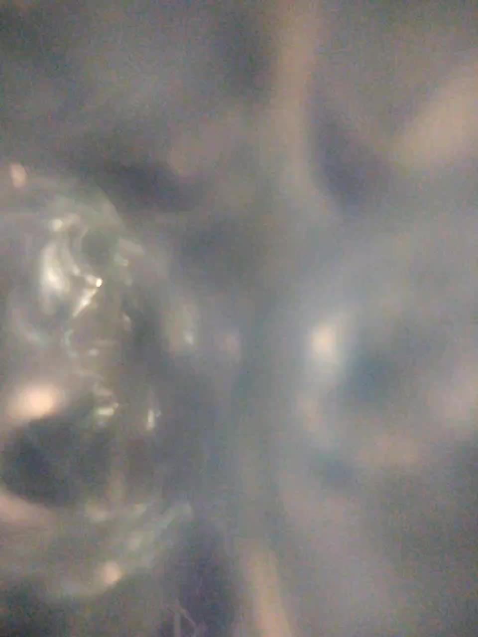 View or download file winx20 on 2023-12-11 from bongacams