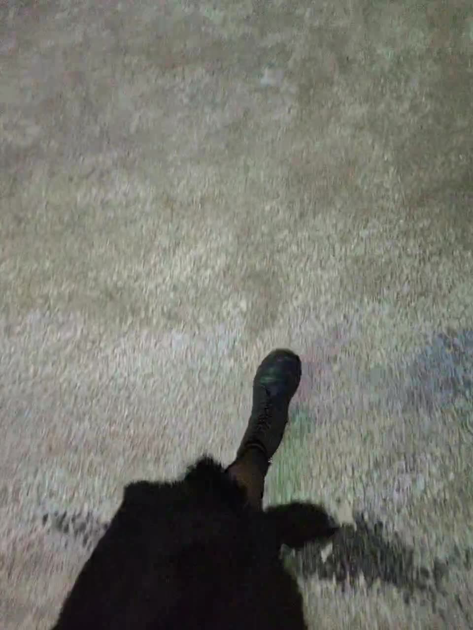 View or download file kitsune_alice on 2023-12-13 from bongacams