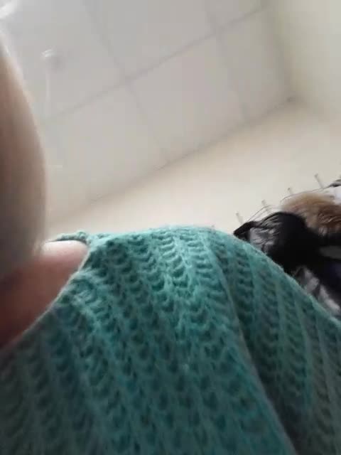 View or download file mery8poppins on 2023-12-14 from bongacams