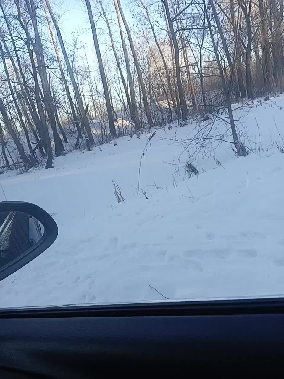 View or download file _pypsiki_ on 2023-12-16 from bongacams