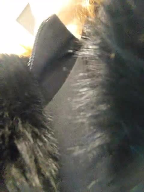 View or download file kitsune_alice on 2023-12-18 from bongacams