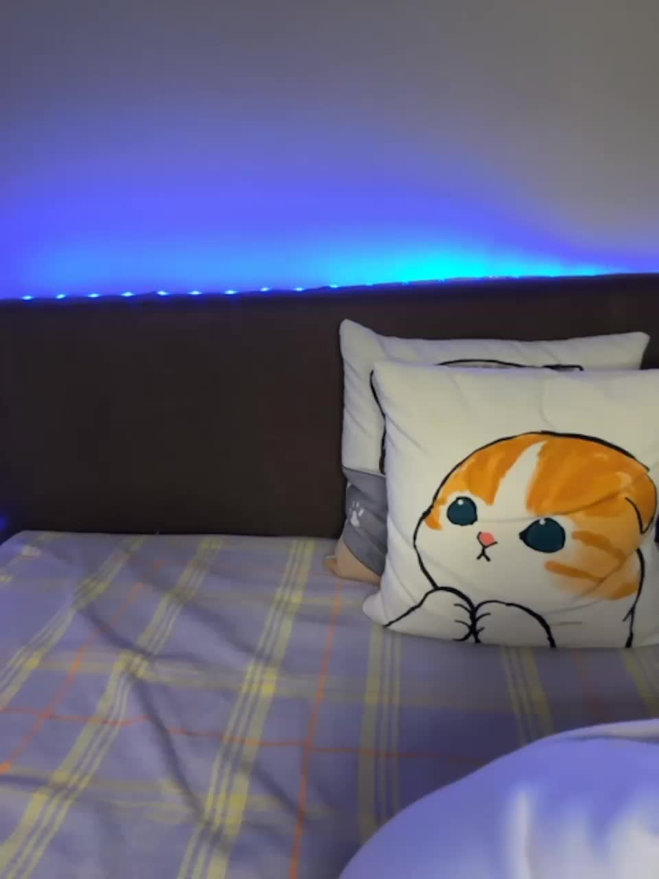 View or download file sara_ on 2023-12-19 from bongacams