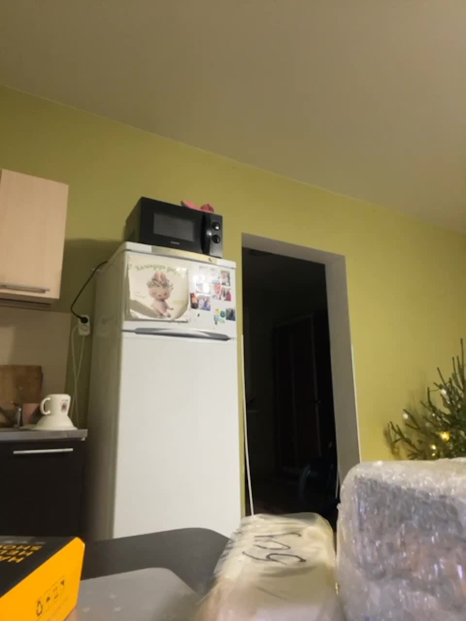 View or download file _saharochek_ on 2023-12-22 from bongacams