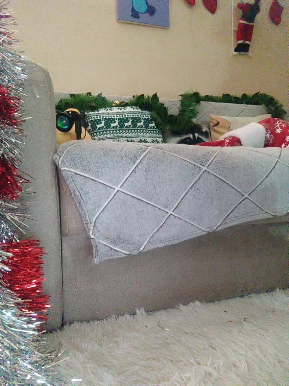 View or download file lilo_stitch on 2023-12-22 from bongacams