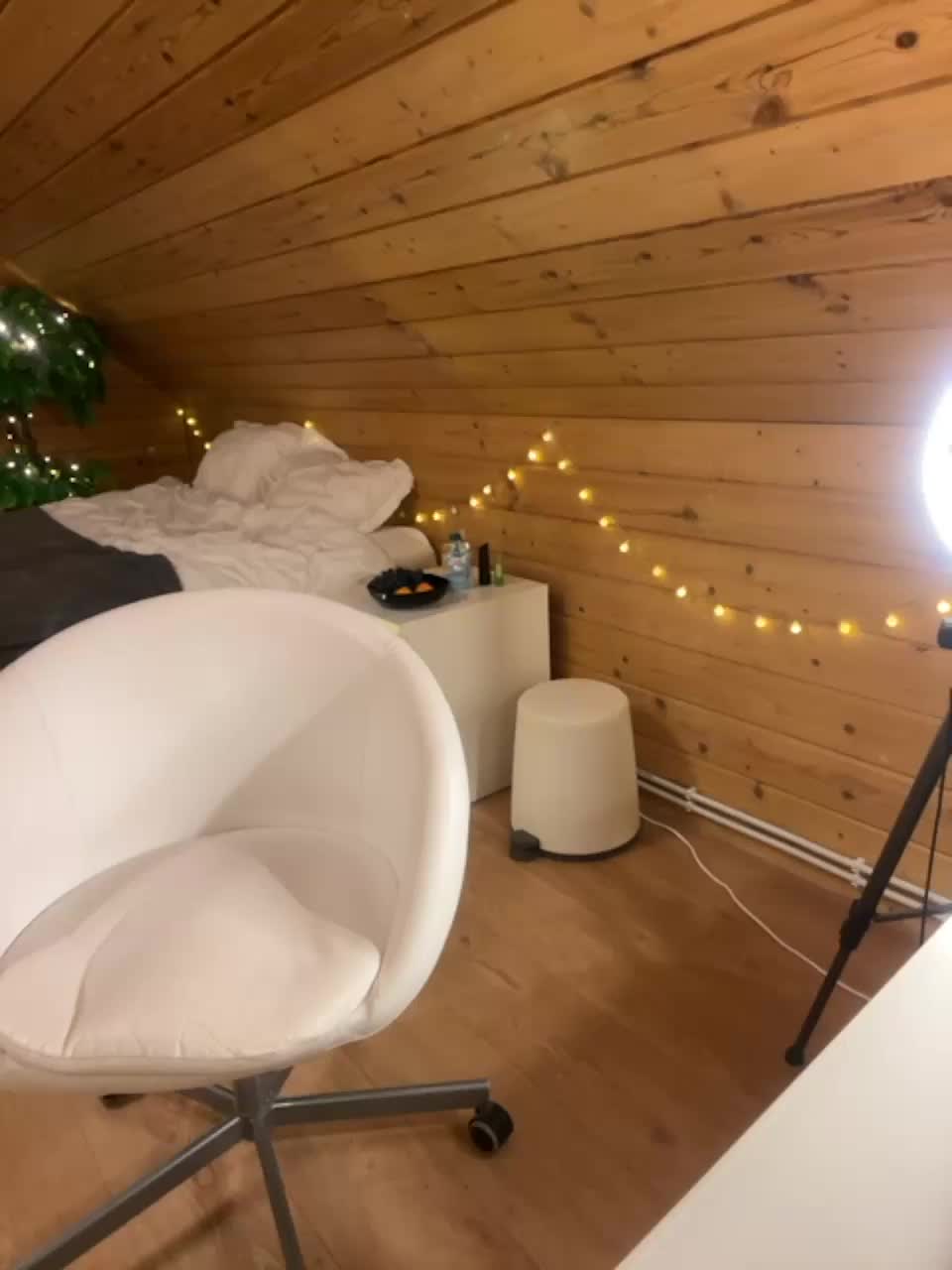 View or download file venessabrown on 2023-12-26 from bongacams