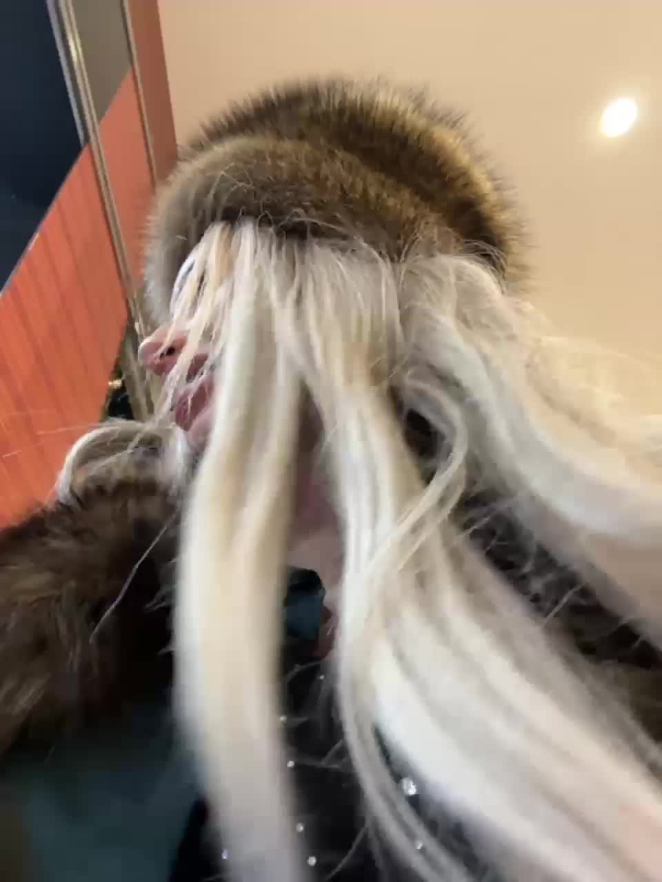 View or download file goldpussy69 on 2023-12-28 from bongacams