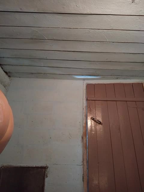 View or download file mussypussy222 on 2023-12-28 from bongacams