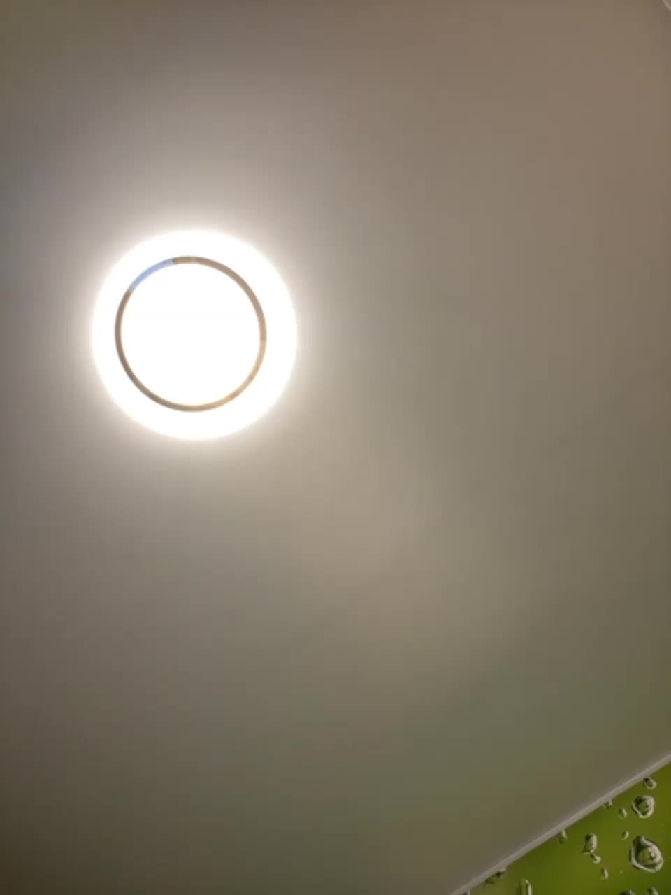 View or download file homely on 2023-12-29 from bongacams