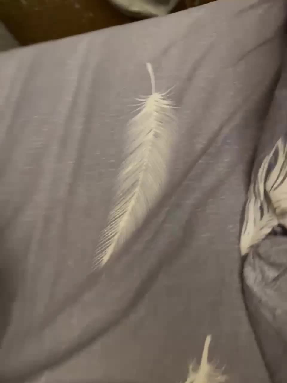 View or download file nikname063 on 2023-12-29 from bongacams