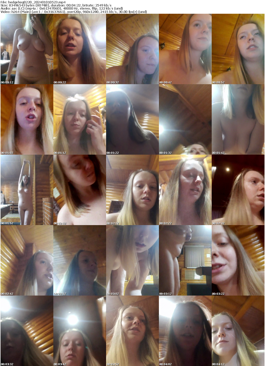 Preview thumb from hedgehog0220 on 2024-01-01 @ bongacams