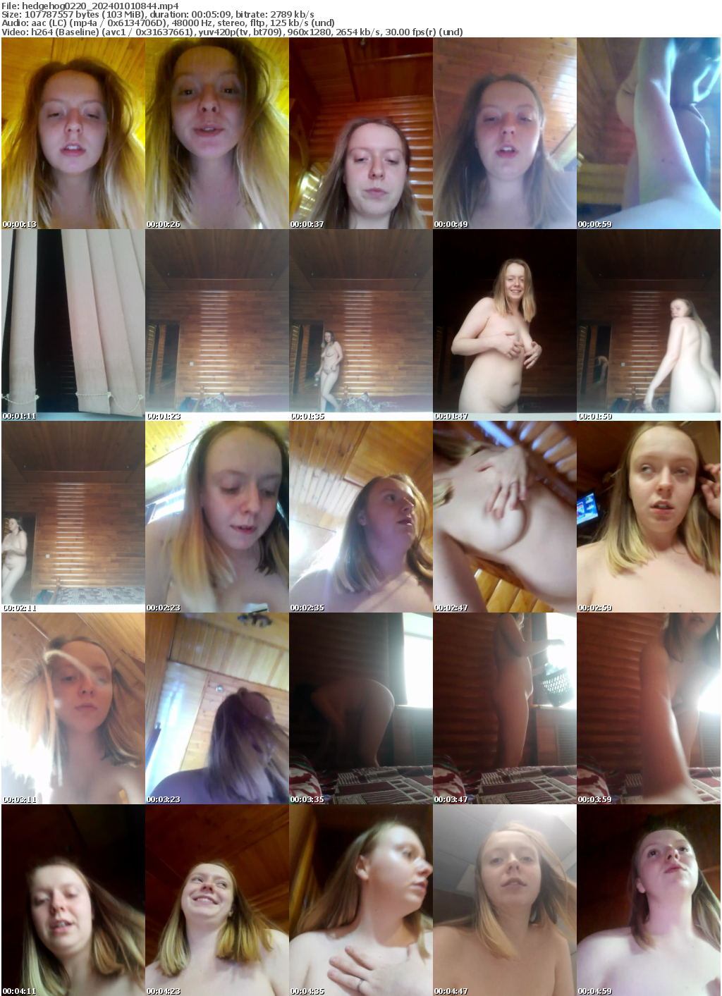 Preview thumb from hedgehog0220 on 2024-01-01 @ bongacams