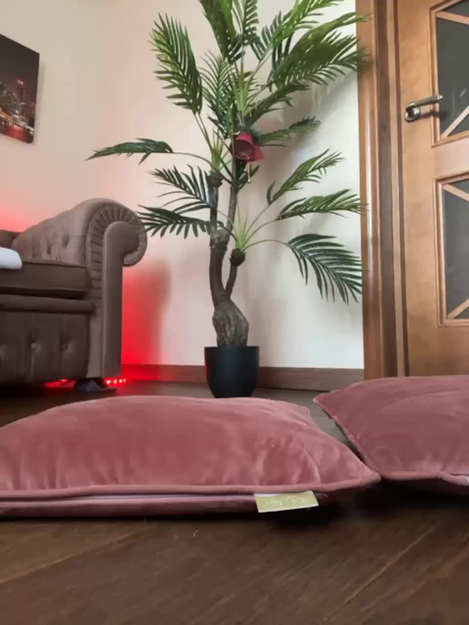 View or download file mercury1991 on 2024-01-01 from bongacams