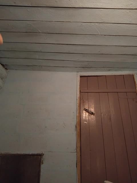 View or download file mussypussy222 on 2024-01-01 from bongacams