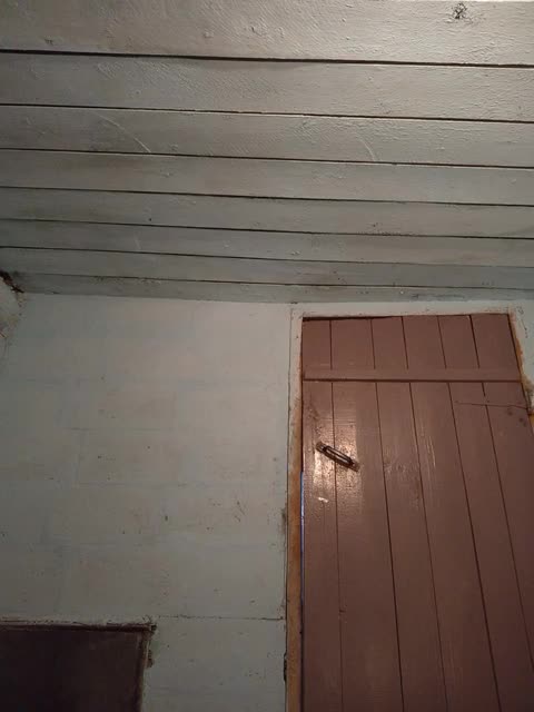 View or download file mussypussy222 on 2024-01-02 from bongacams