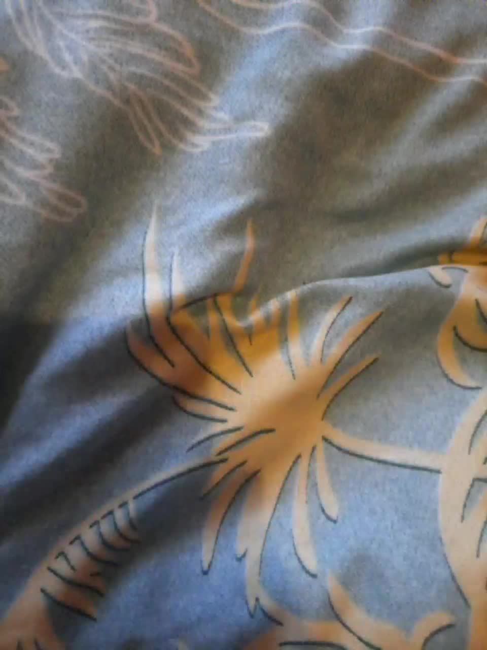 View or download file ruslan9610 on 2024-01-02 from bongacams