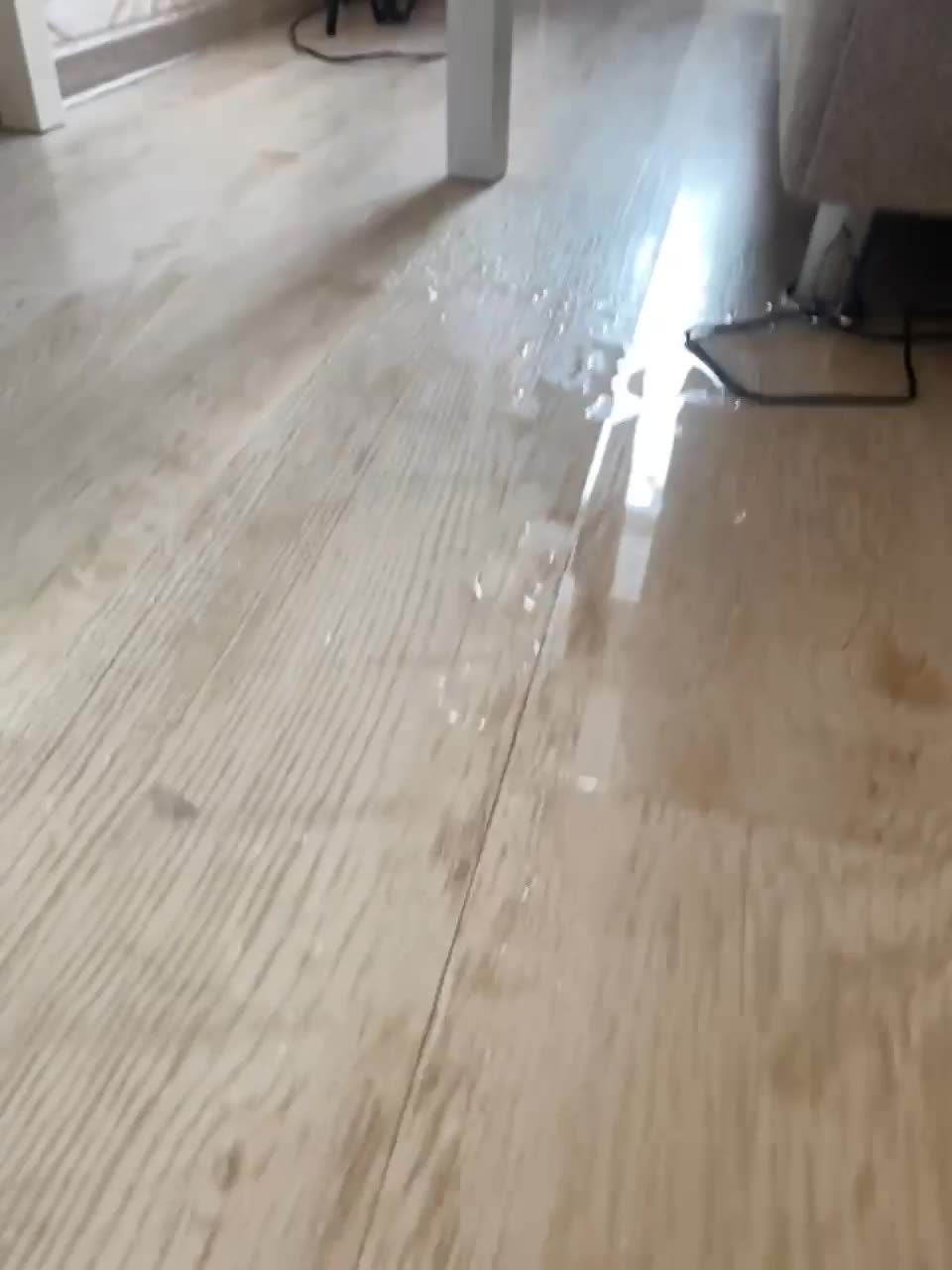 View or download file hothoneybabe on 2024-01-06 from bongacams