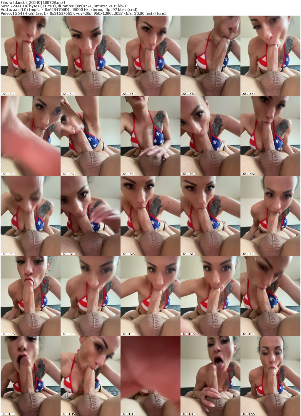 Preview thumb from wildandel on 2024-01-10 @ bongacams