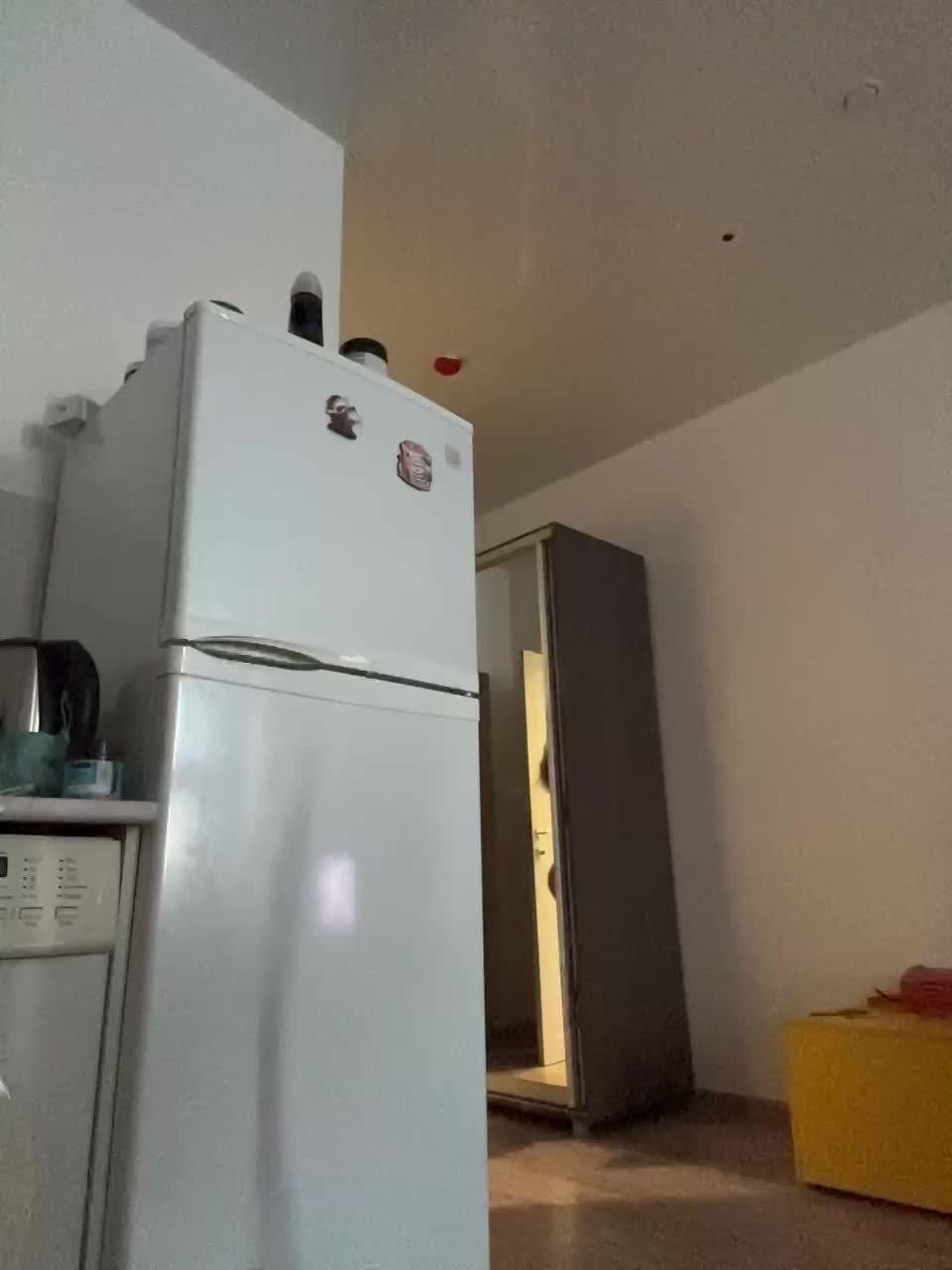 View or download file golden_cobra100 on 2024-09-17 from bongacams