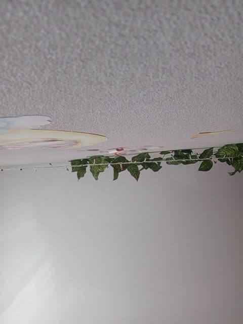 View or download file niki233221 on 2024-09-17 from bongacams