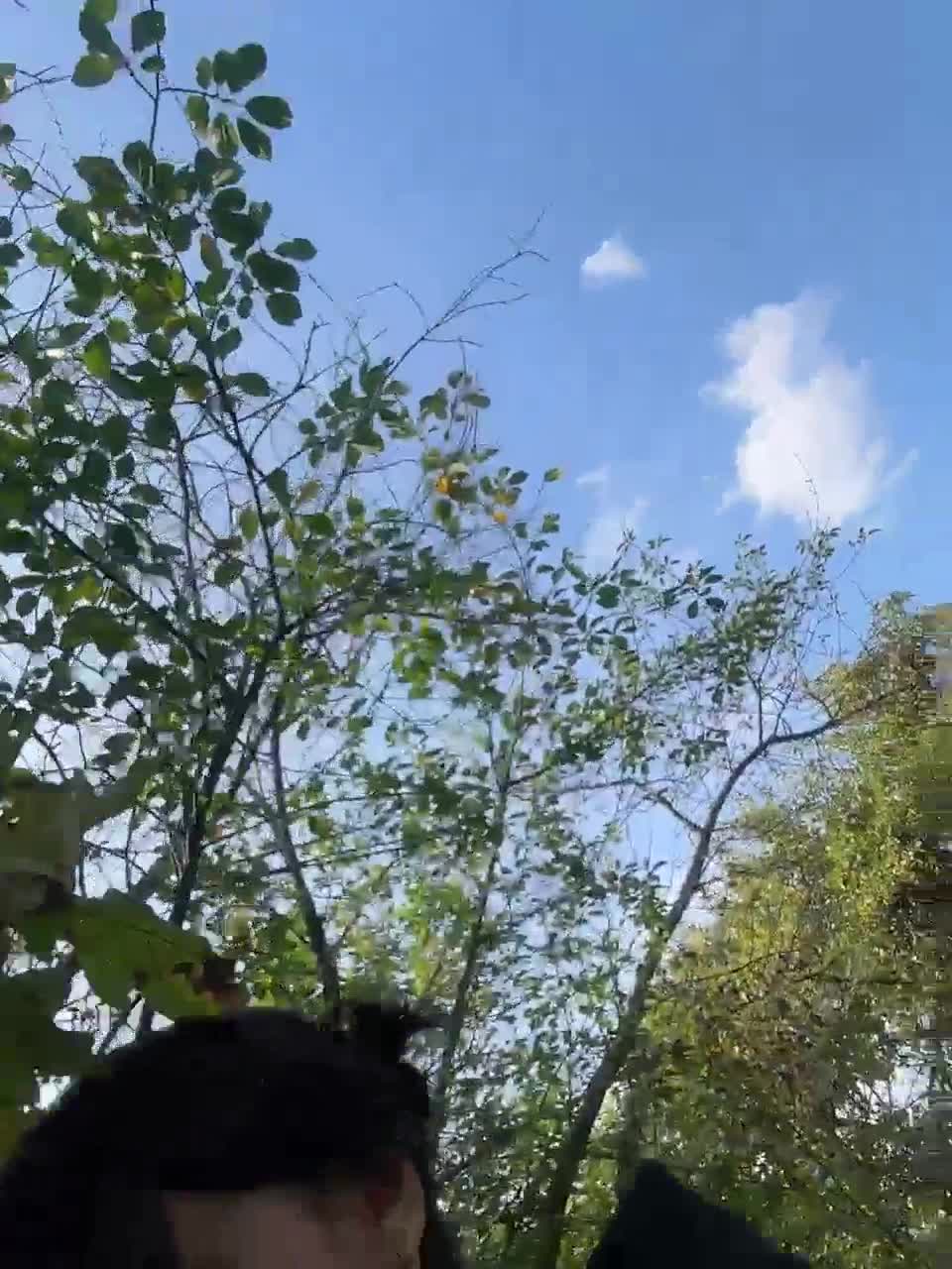 View or download file lisamurm on 2024-09-18 from bongacams