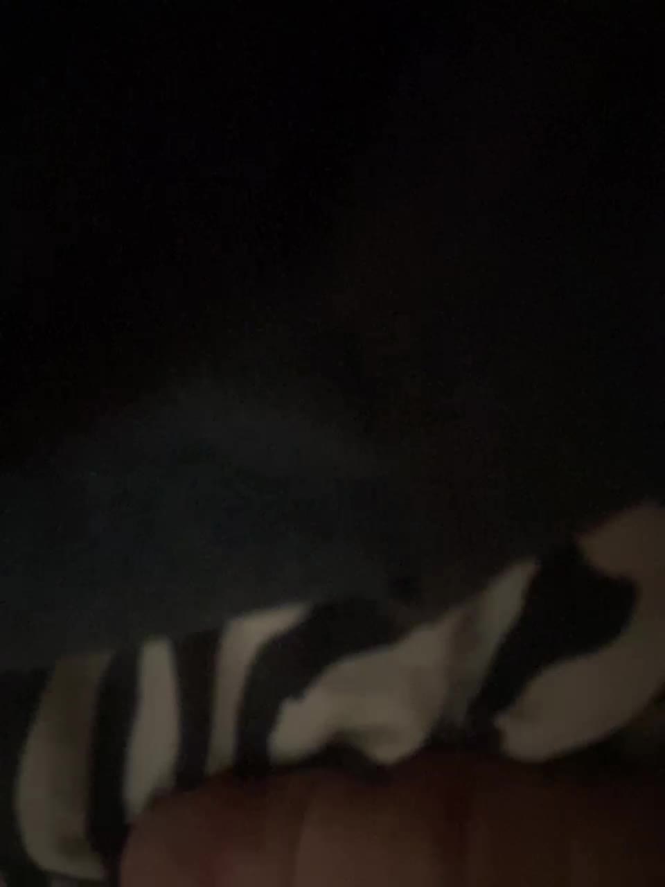 View or download file skipbo420 on 2024-09-18 from bongacams