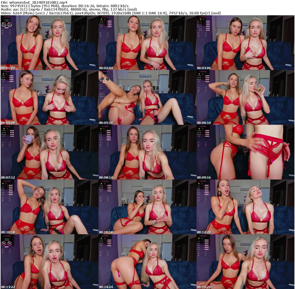 Preview thumb from whorerobot on 2024-09-18 @ bongacams