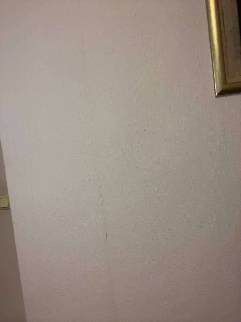 View or download file peach__alice on 2024-09-20 from bongacams