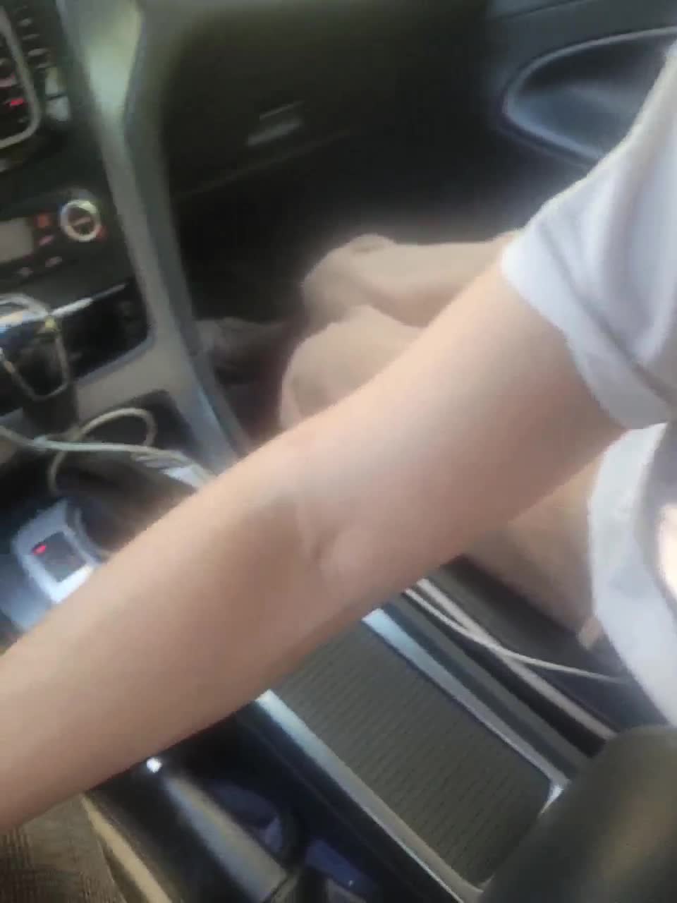 View or download file 8alexandra8 on 2024-09-21 from bongacams