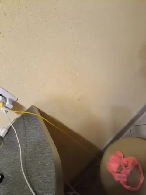 View or download file misssit_bik on 2024-09-21 from bongacams