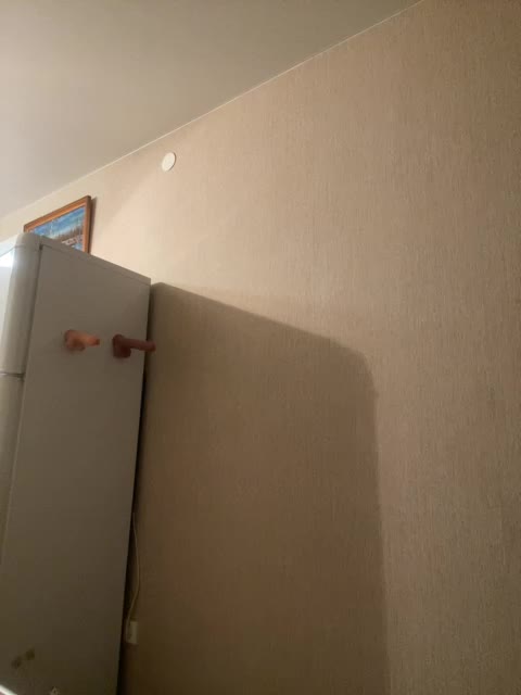 View or download file crystal1_1 on 2024-09-25 from bongacams