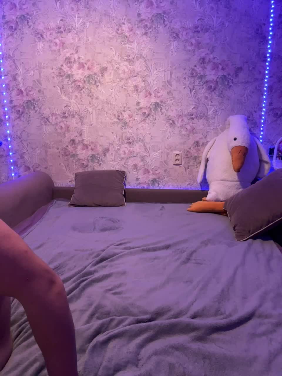 View or download file nice_rats02 on 2024-09-30 from bongacams