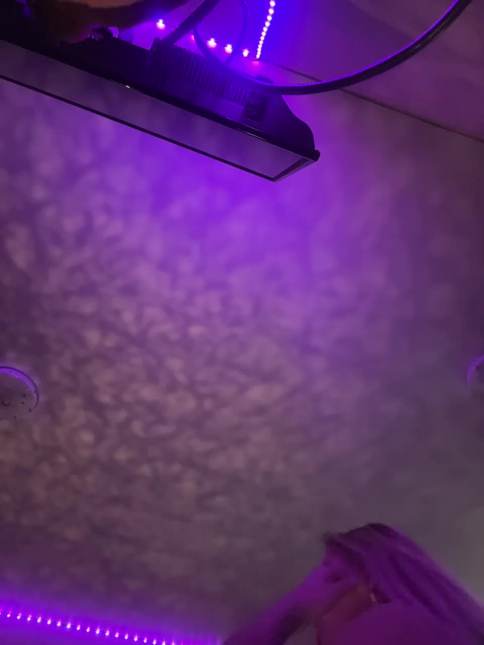 View or download file kissmiss06 on 2024-10-04 from bongacams