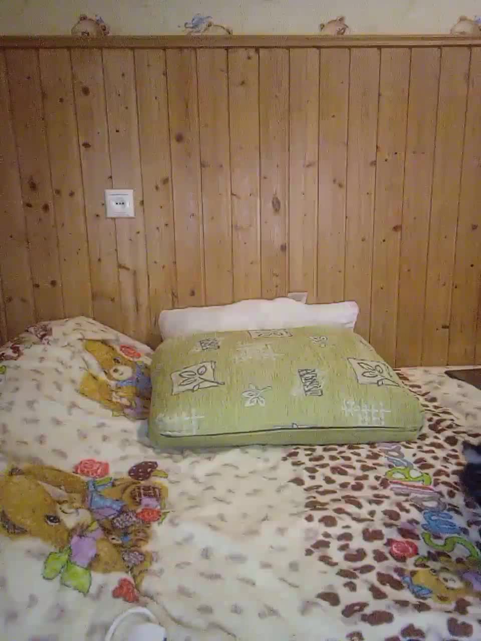 View or download file anna1202 on 2024-10-06 from bongacams