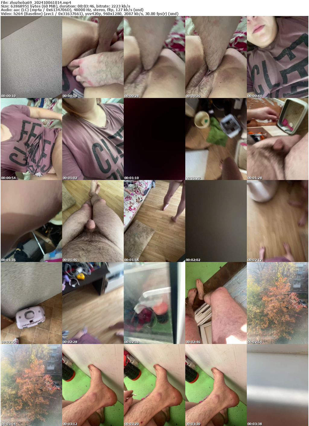 Preview thumb from zhozhoba69 on 2024-10-06 @ bongacams