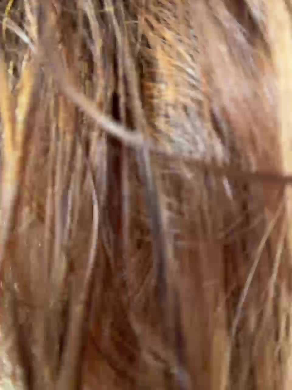 View or download file kristinanice on 2024-10-10 from bongacams