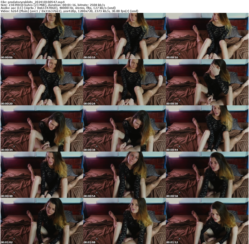 Preview thumb from predatoryrabbits on 2024-10-10 @ bongacams